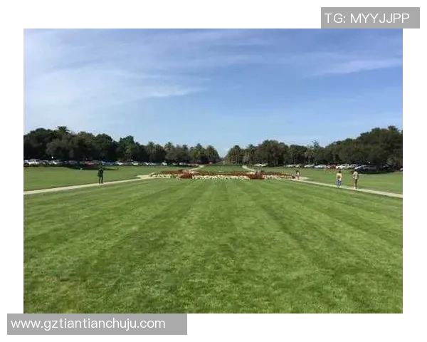 拉斯维加斯光与圣地亚哥忠诚的激烈对决揭示球队实力与战术较量